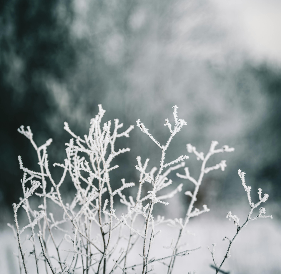 The winter chill: Managing musculoskeletal risks at work.
