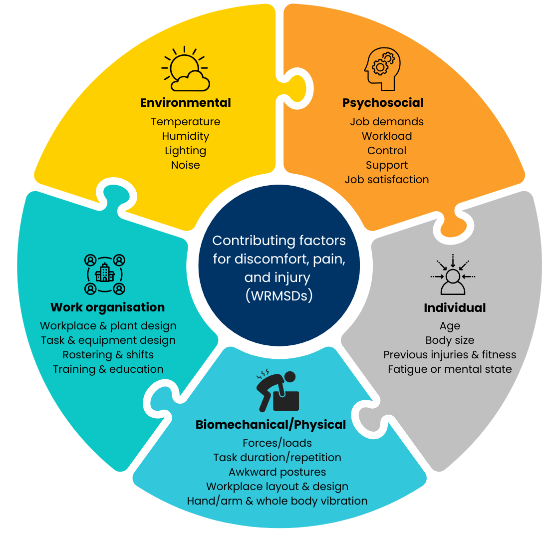 Contributing risk factors for work-related musculoskeletal disorders.