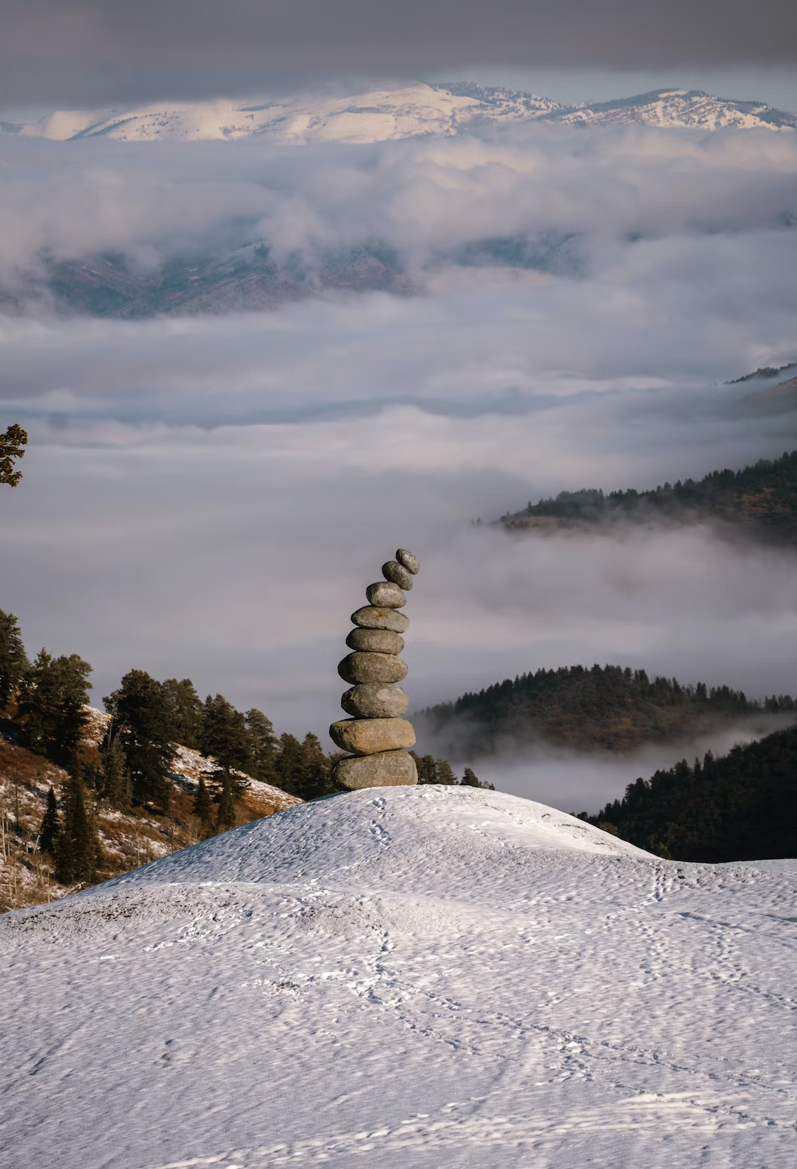 Screenshot 2026-03-25 at 4.34.46 PM.png