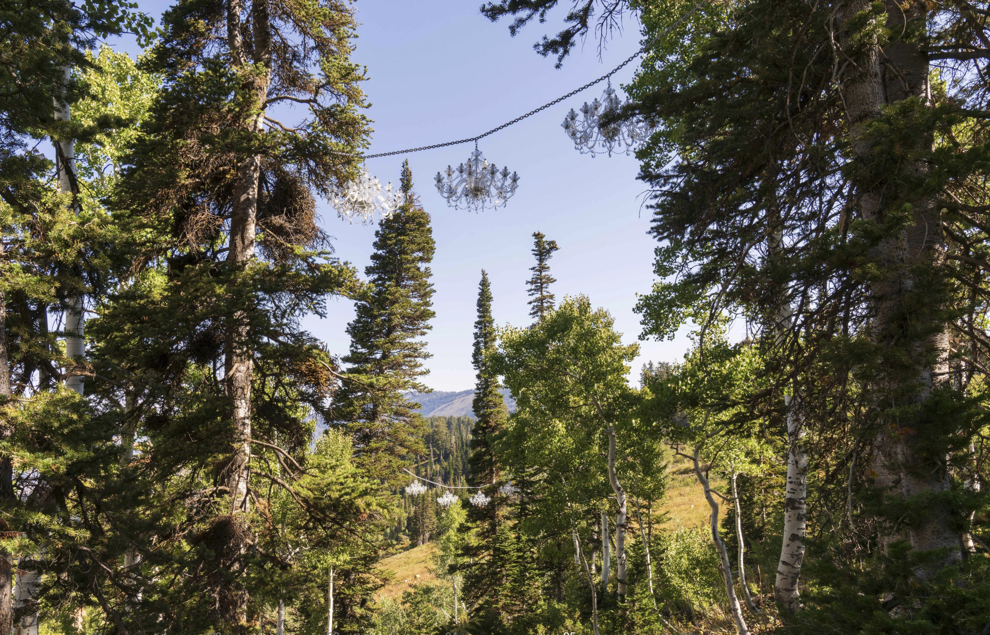 Screenshot 2026-03-25 at 5.54.02 PM.png