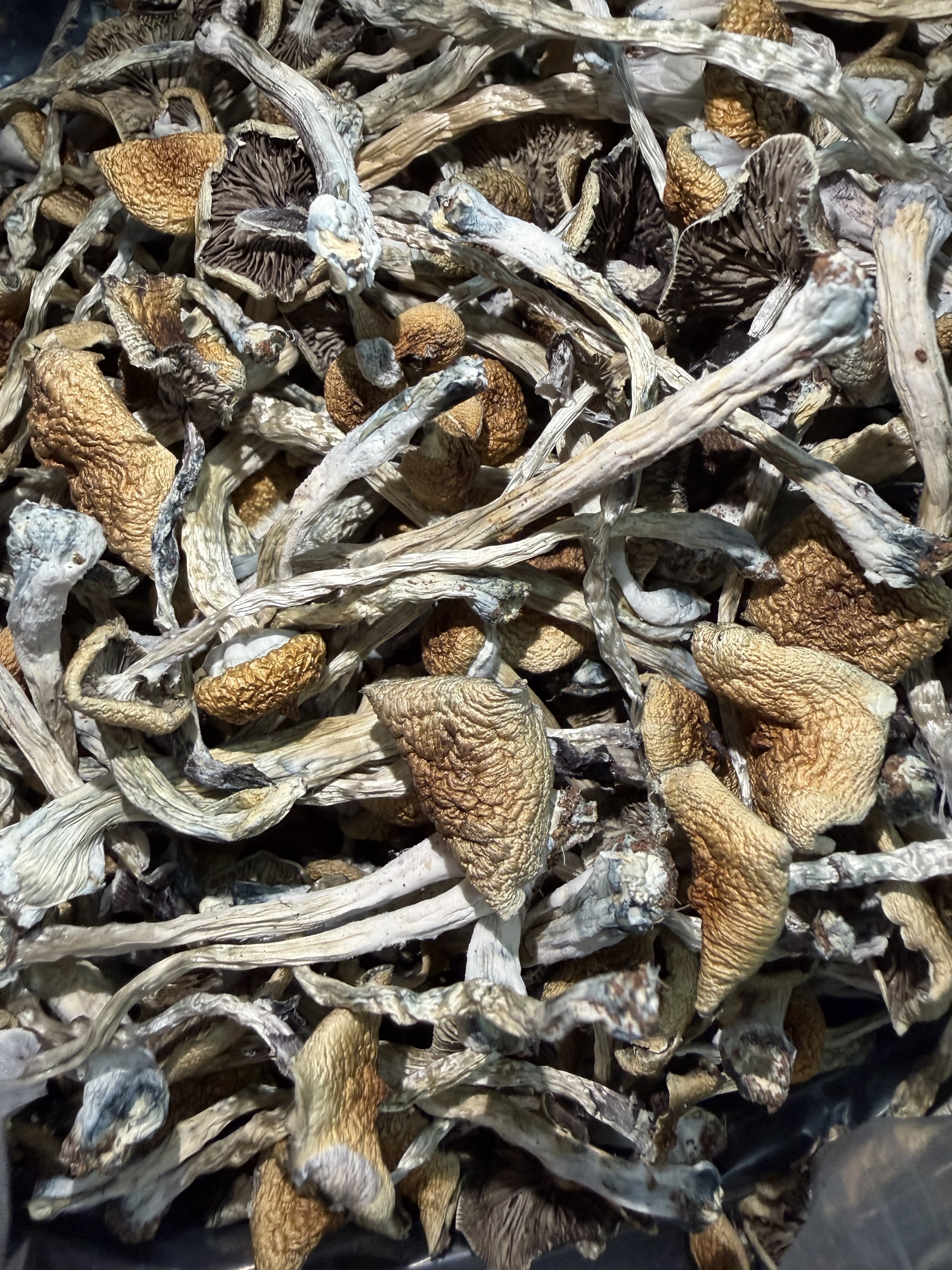 IMG_0975.jpeg