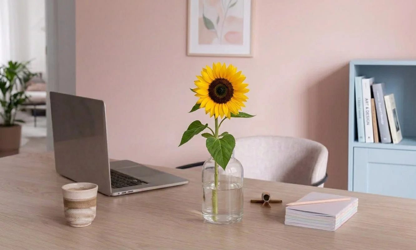 Conscious Life Coaching
