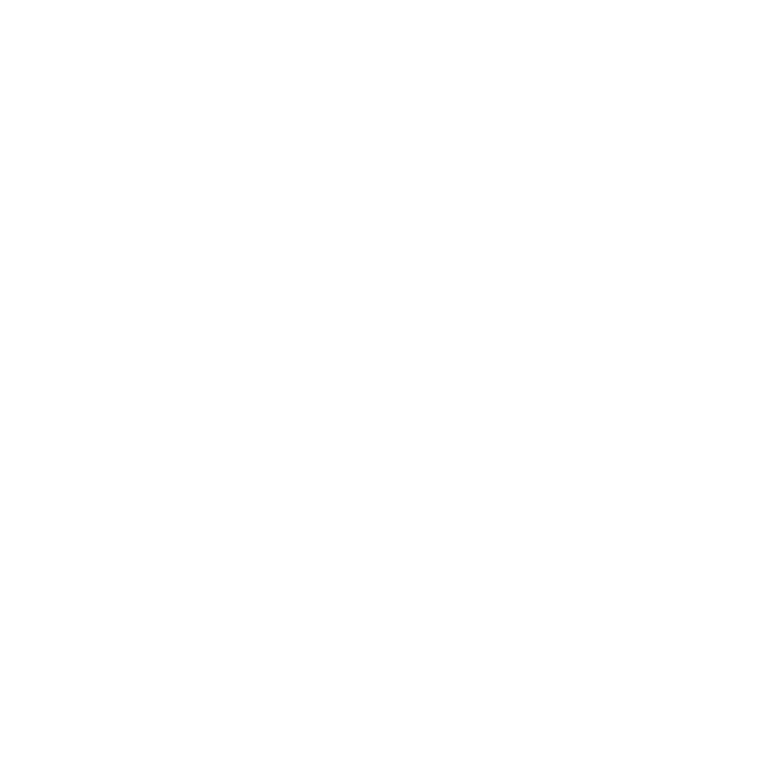 Rockly Talkie_White.png