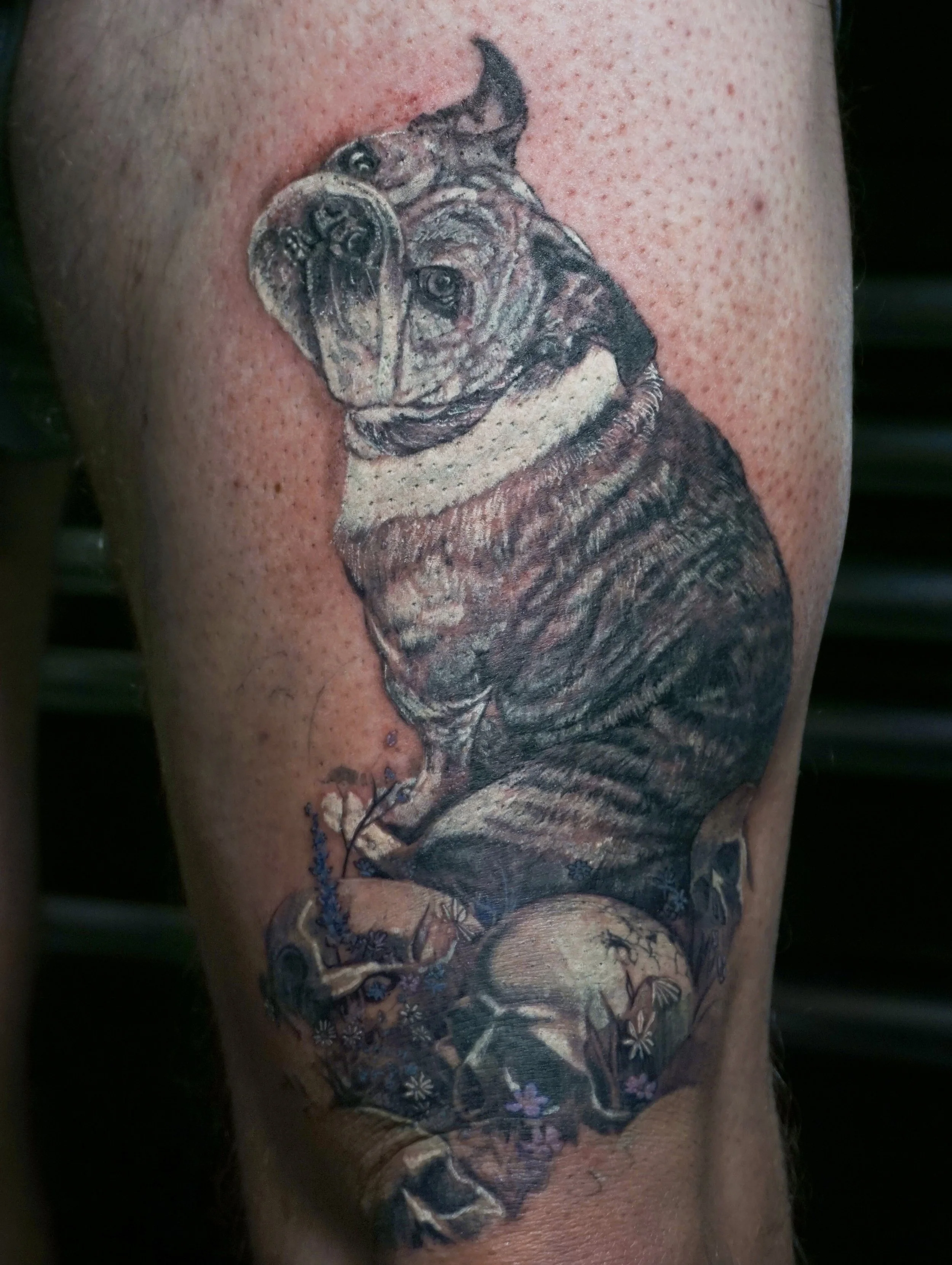 Little Killer (2).jpg