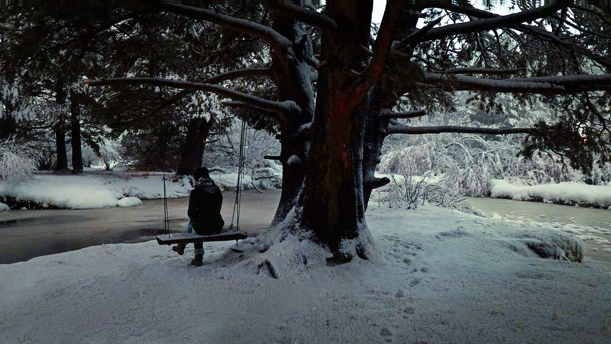 Snowstorm.jpg
