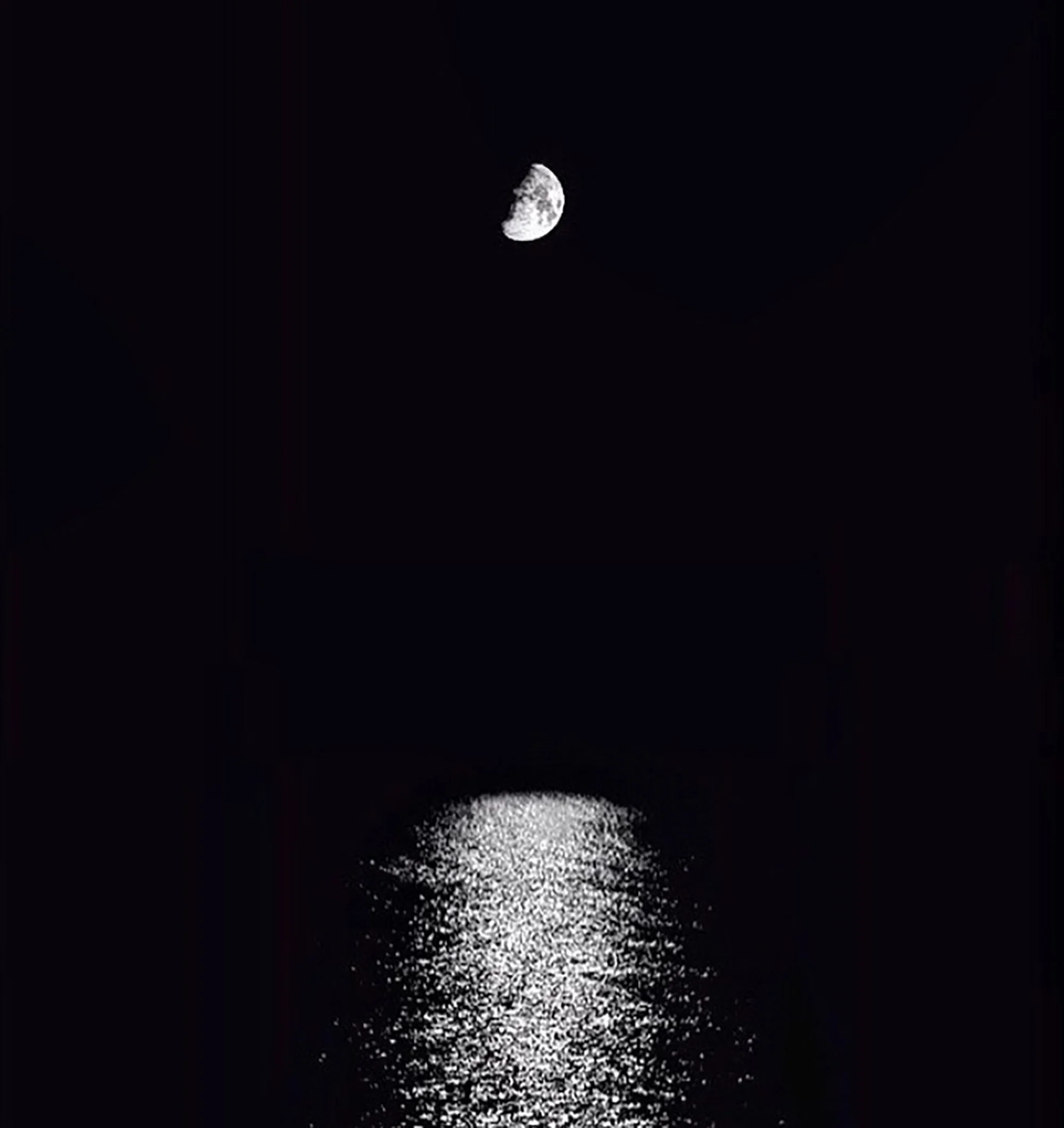 Black Moonlight.jpg