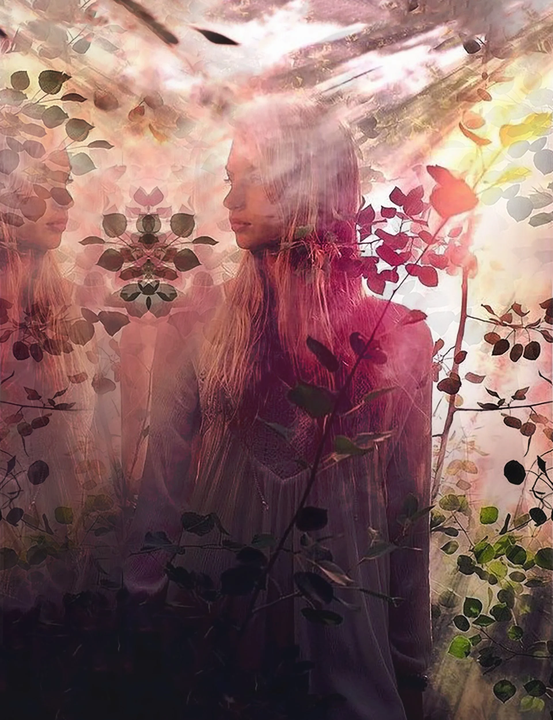 Mystic Forest copy.jpg