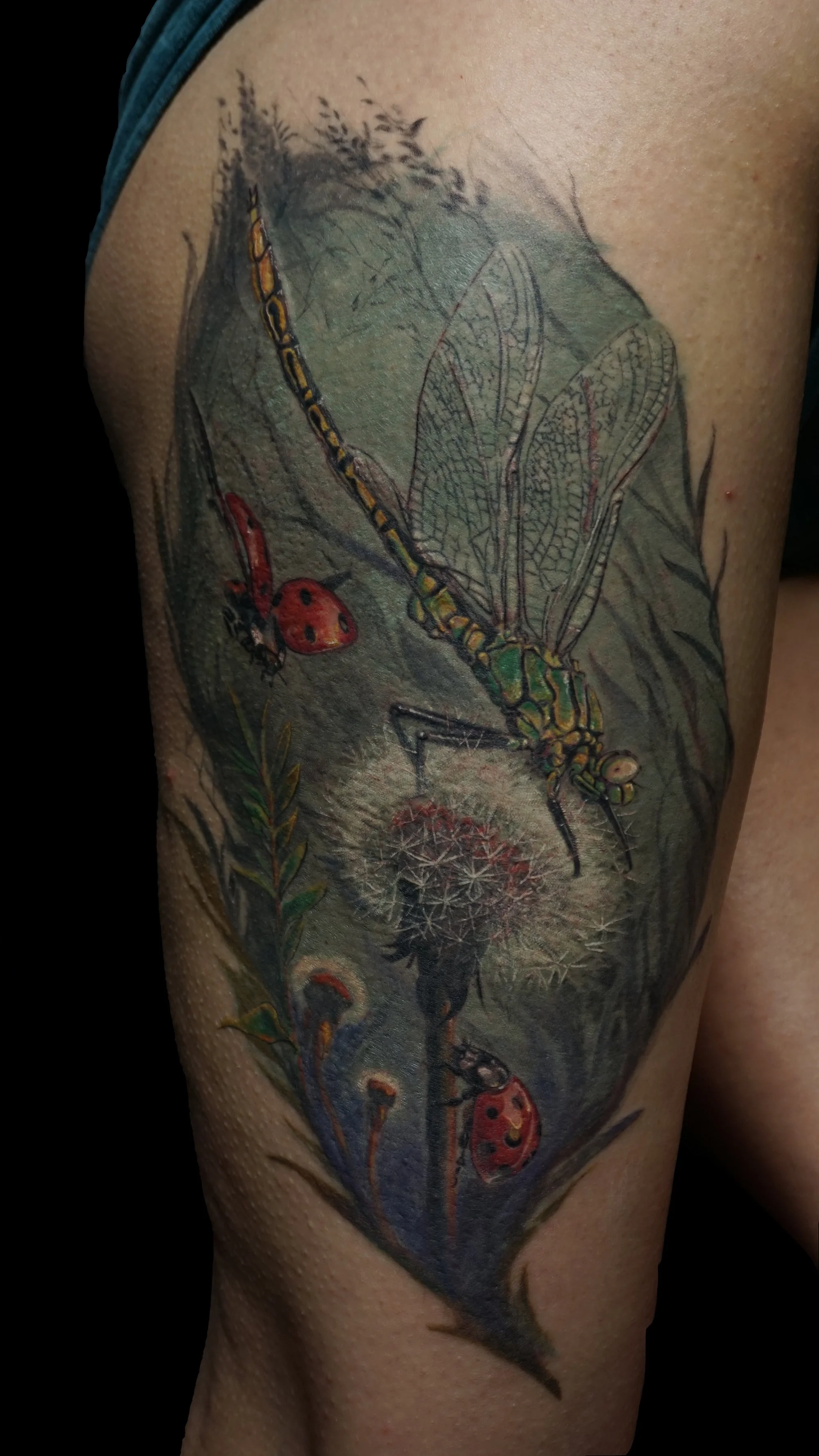 Dragonfly 1.jpg
