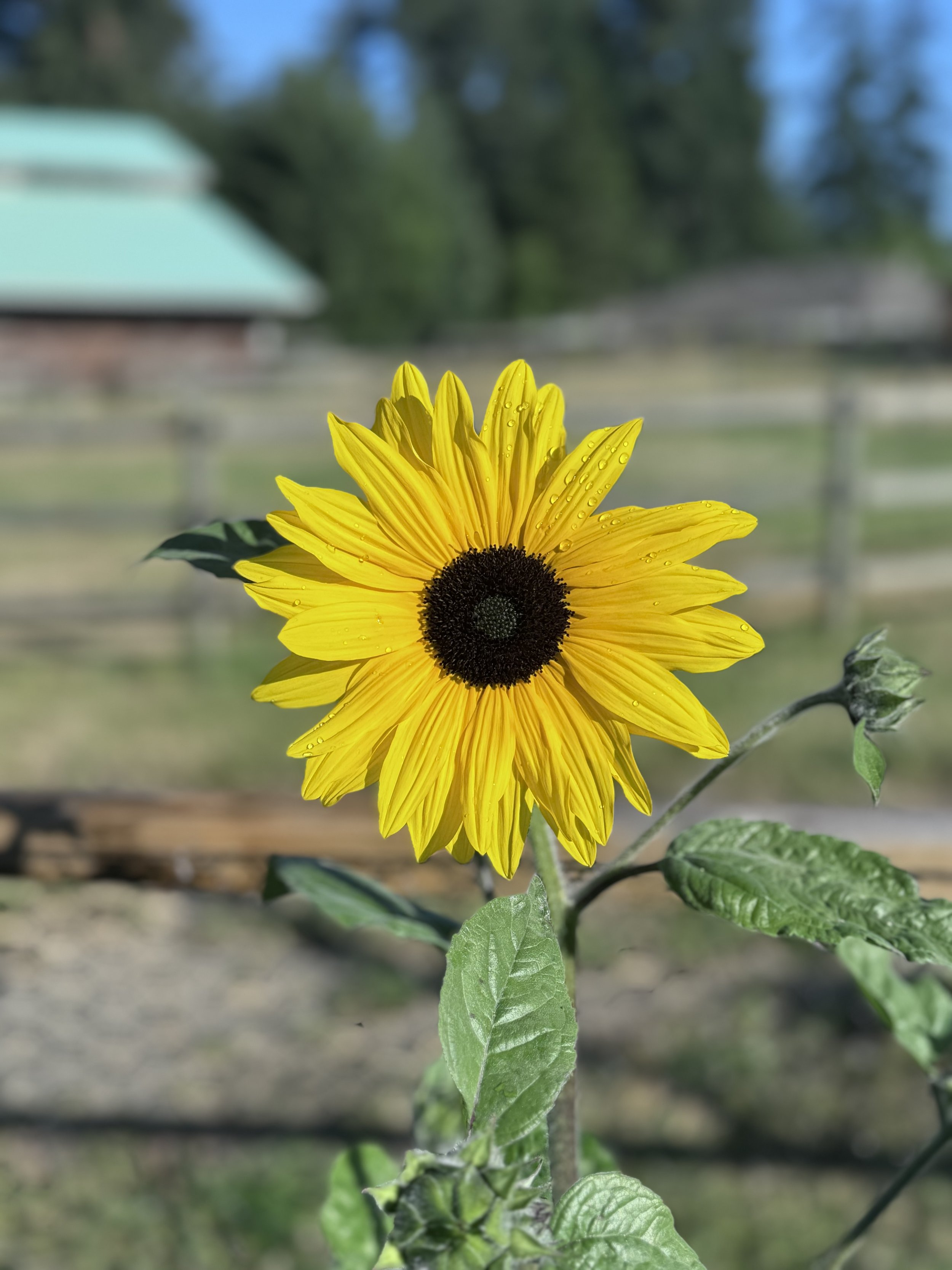 Keeping EH! Kind: How (and Why) We will Moderate Content