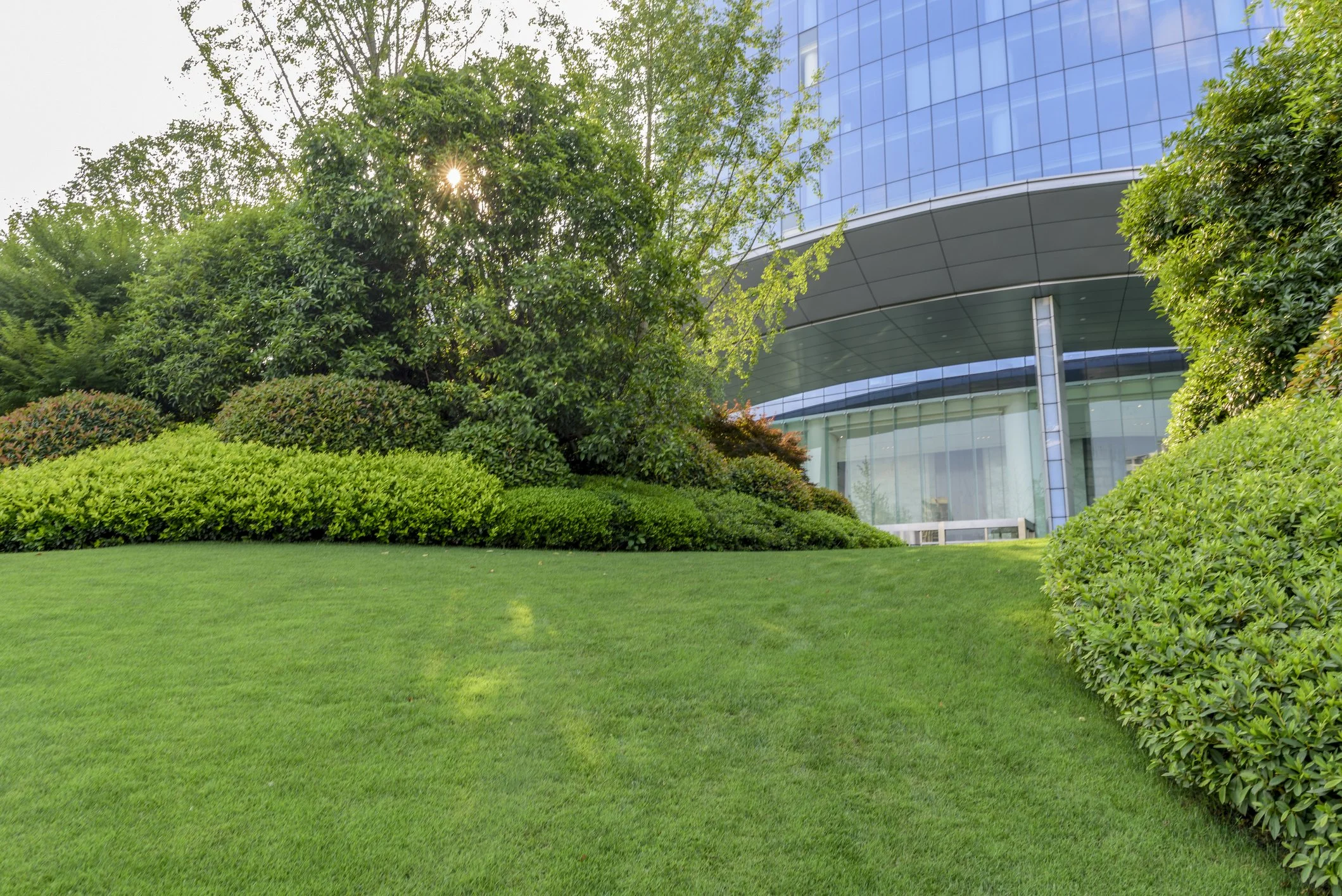 A landscaped area with green grass, various shrubs, and trees in front of a modern glass building on a sunny day.