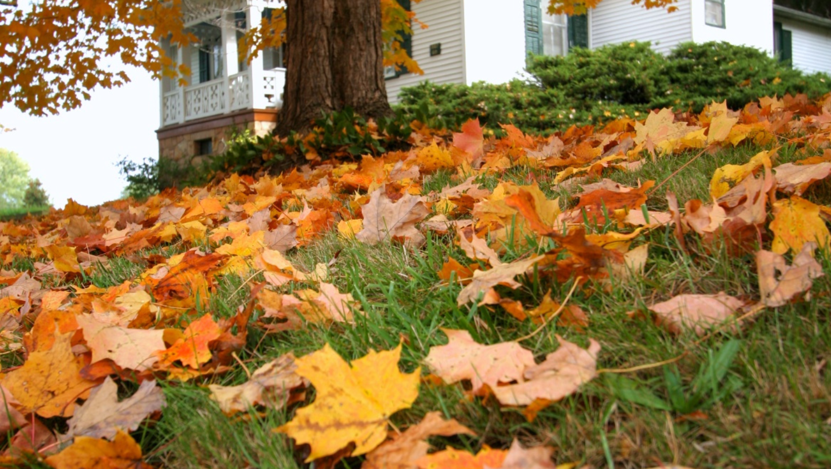 Preparing your lawn for fall and winter in boulder colorado