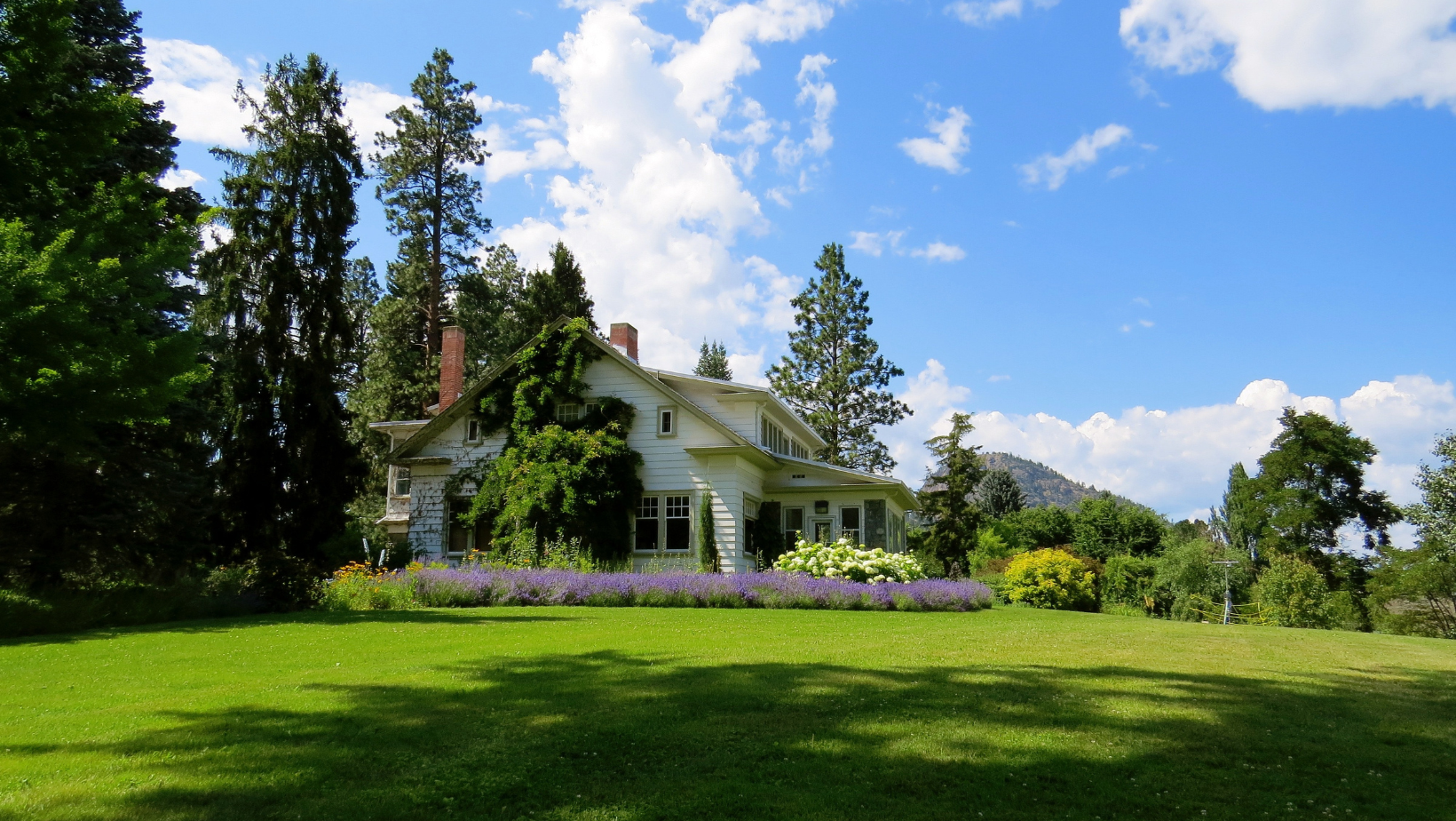 Social sustainability nurturing communities through Eco Conscious Co