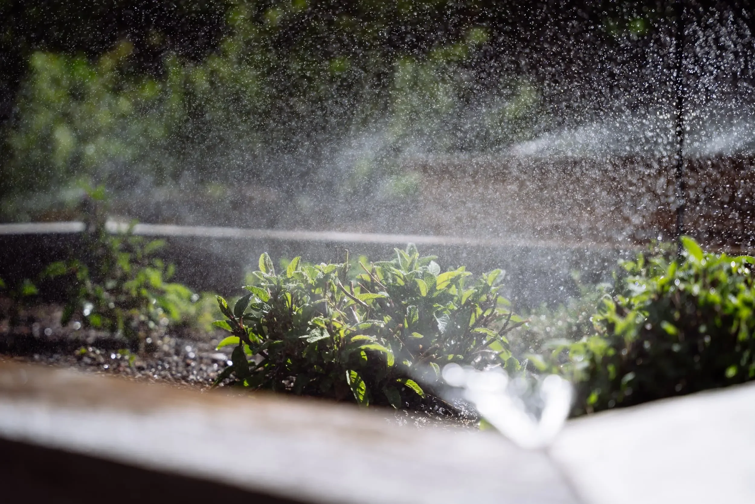 Winter Drought in Boulder, CO