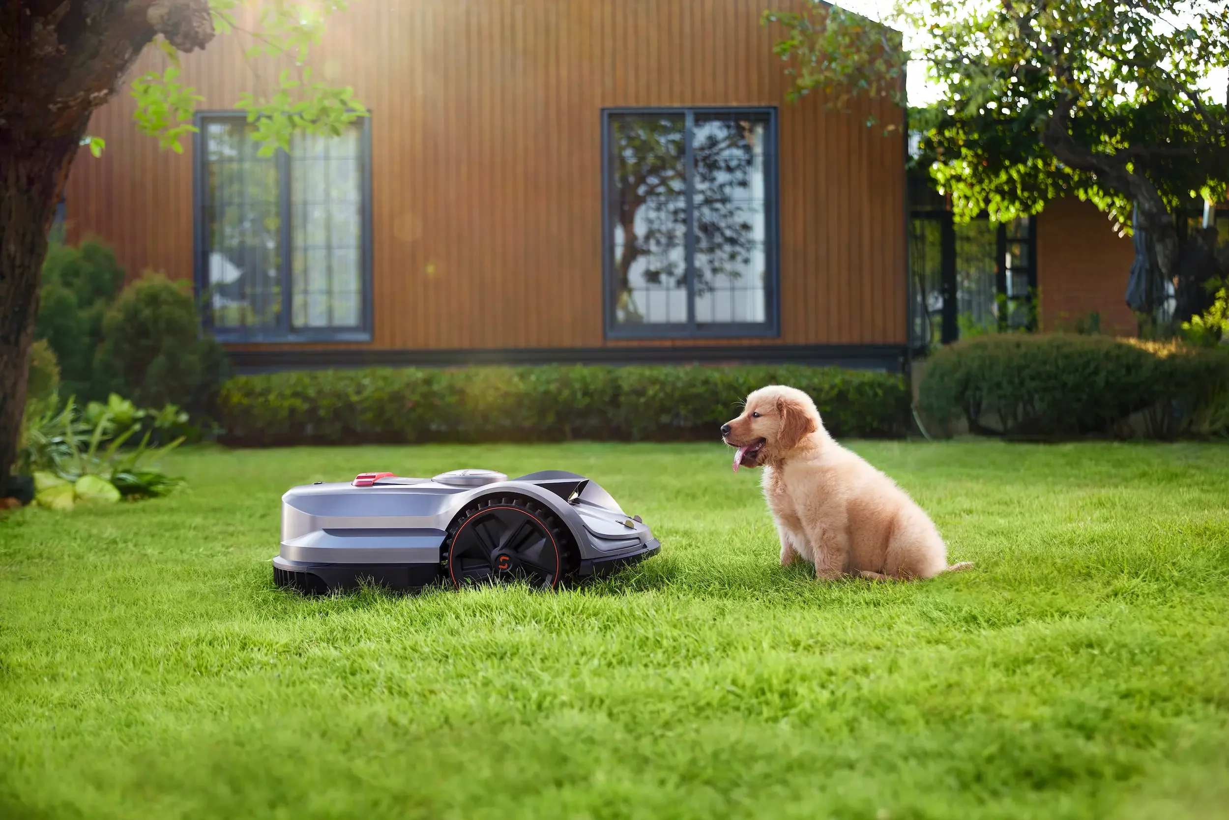 Sunseeker X Series robotic mower operating on a lawn with a dog nearby