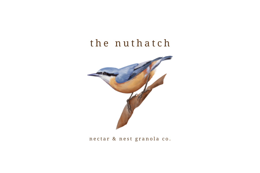 nuthatch.png