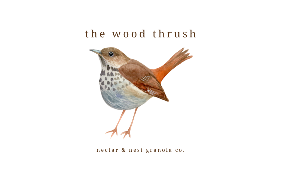 the wood thrush.png
