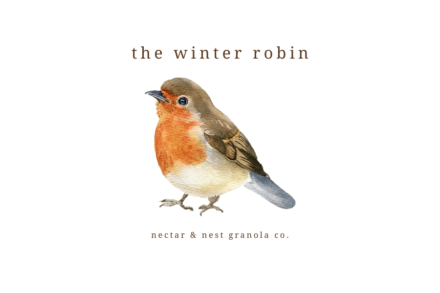 the winter robin.png