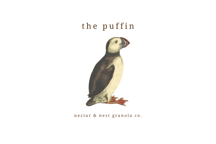 the puffin.png