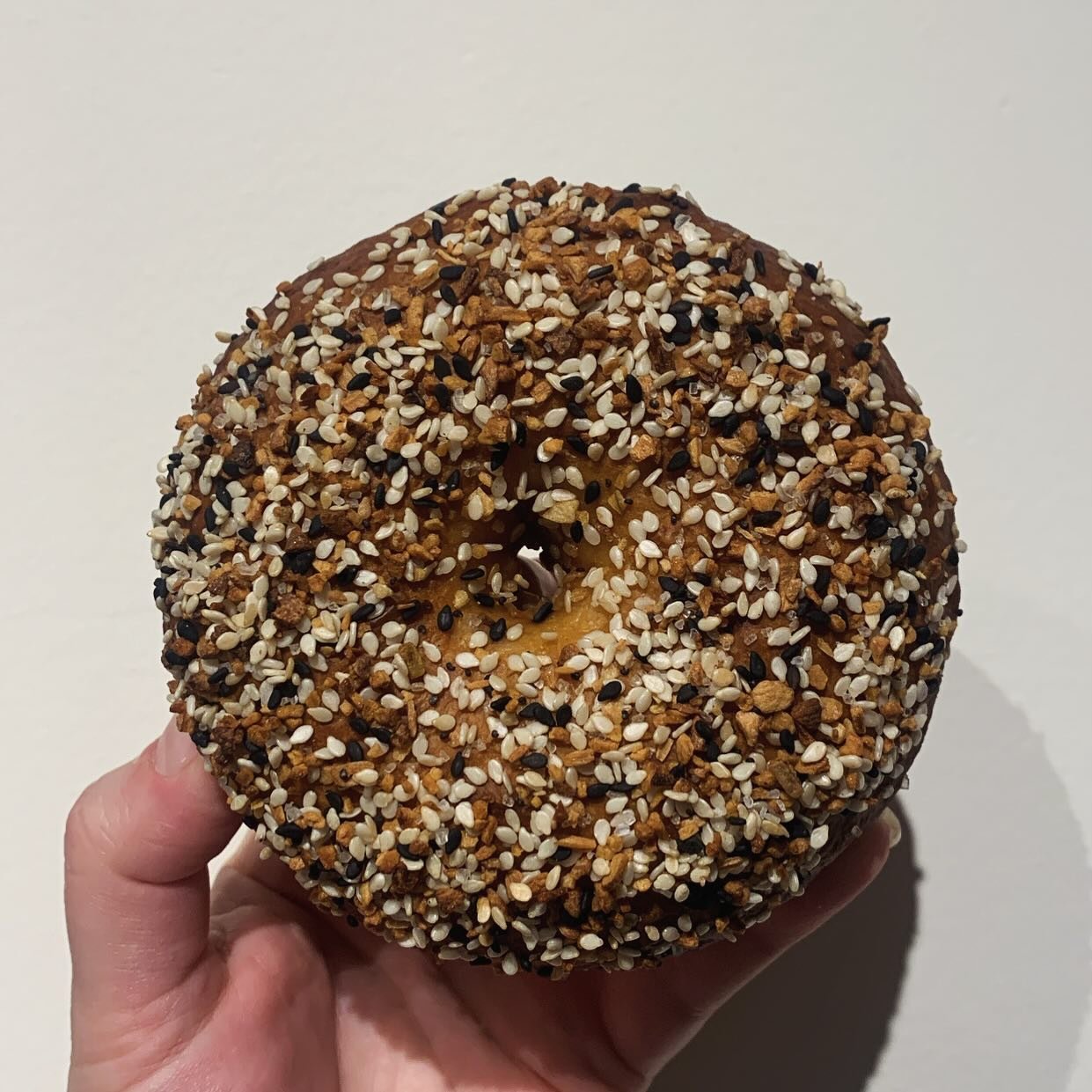 is there anything better than a toasty bagel on a sunday morning? 4 or 6 pack bagels are available to order! 

four plain bagels - $16
six plain bagels - $22
flavored bagels (everything, jalape&ntilde;o cheddar, blueberry) +2

the form to order is av