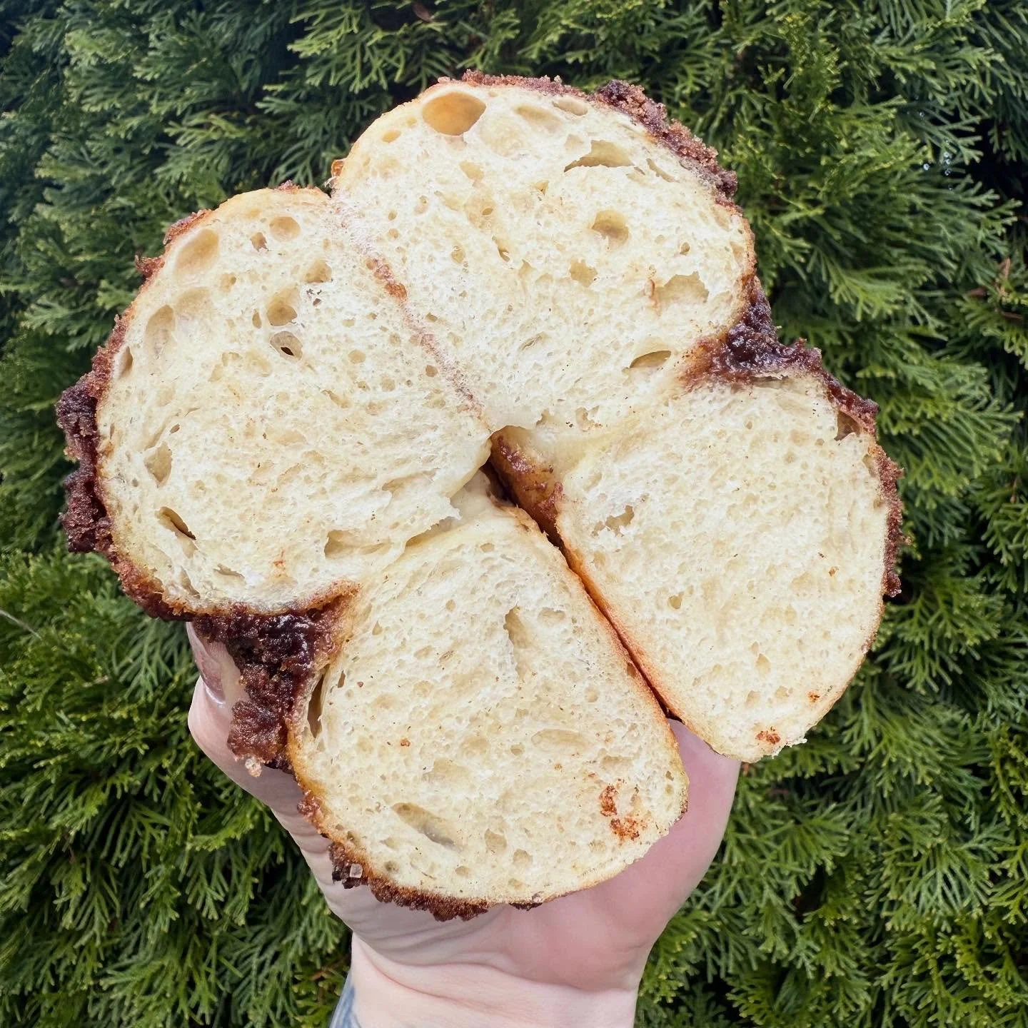 in case you thought you didn&rsquo;t *need* a cinnamon crunch bagel, take this as your sign that you do. available this weekend at the @gardencitycenter @rinightmarket holiday market from 10-2 or on our Thanksgiving menu - link in bio to order! love 