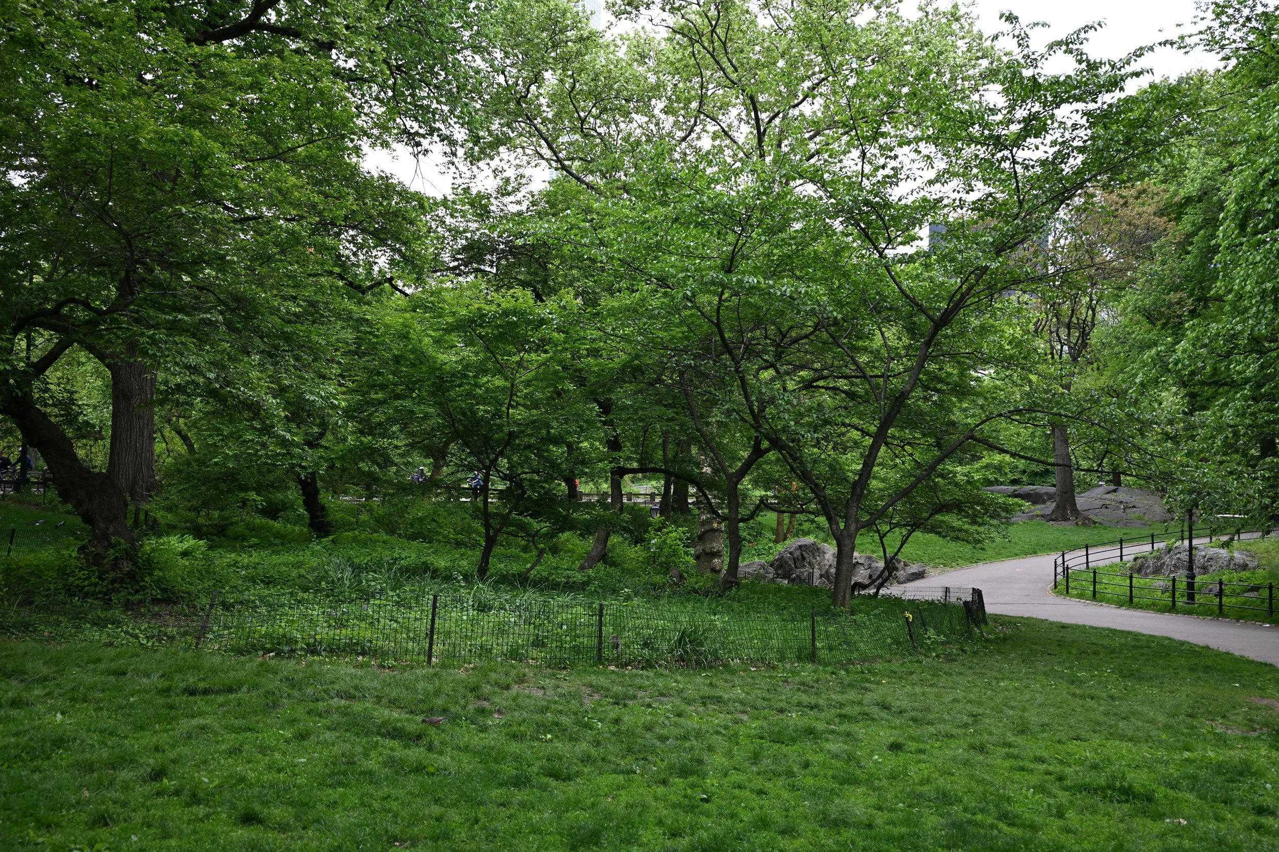 Bicycling in NYC