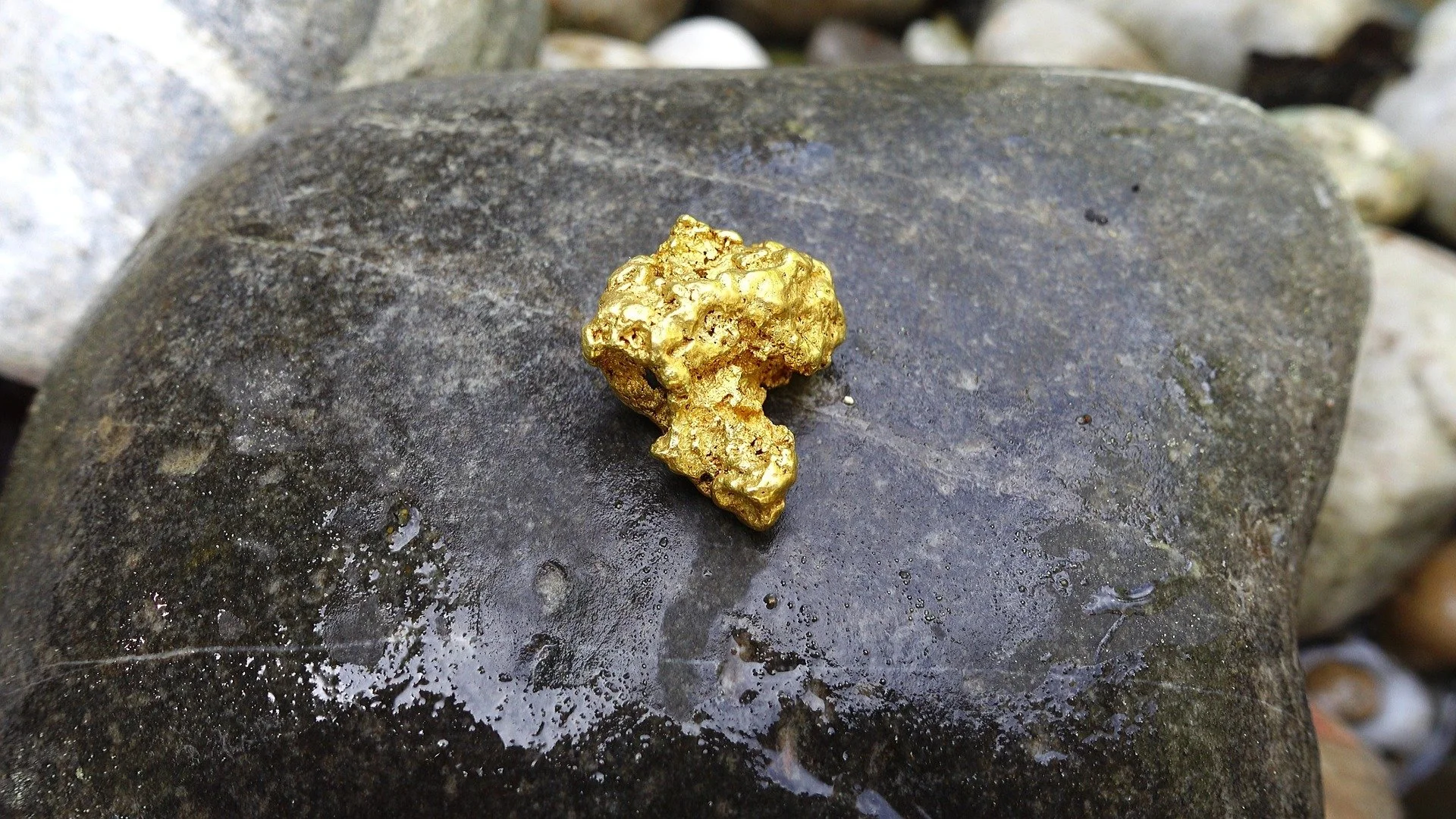 gold.jpg