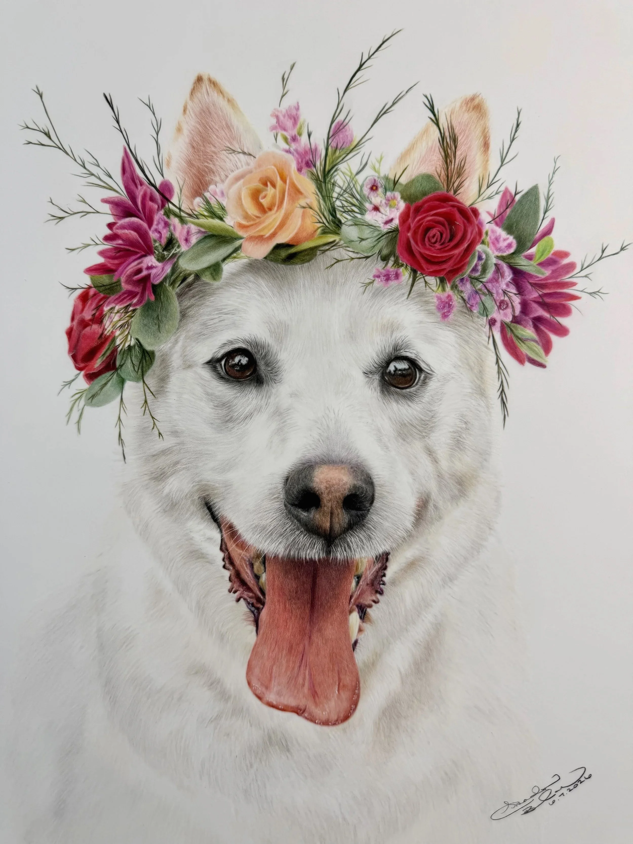 Colored pencil portrait of a Siberian Husky with a flower crown made of pink, peach, and purple flowers and green leaves, smiling with its tongue out.
