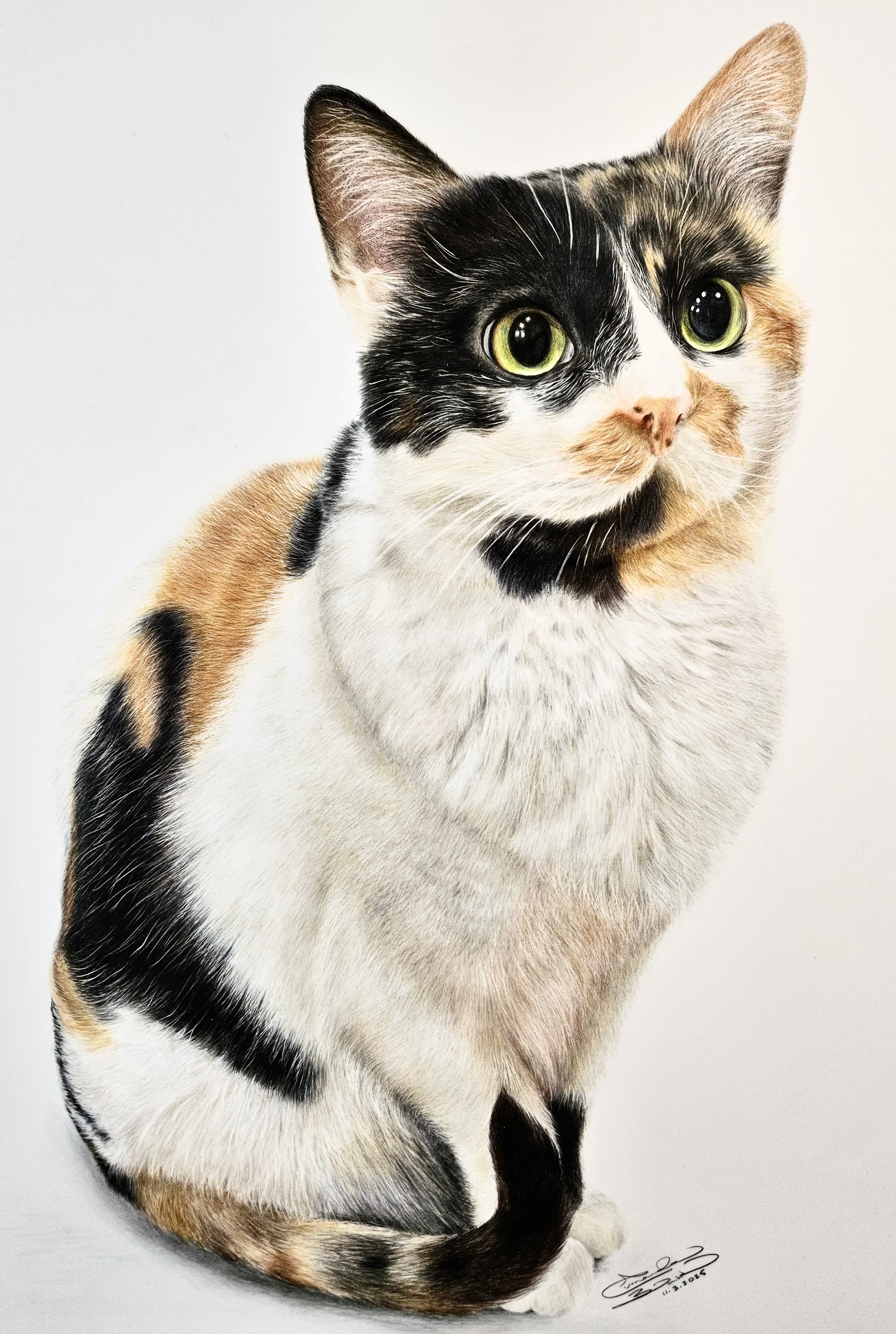 Colored pencil portrait of a colorful calico cat with green eyes sitting on white surface.