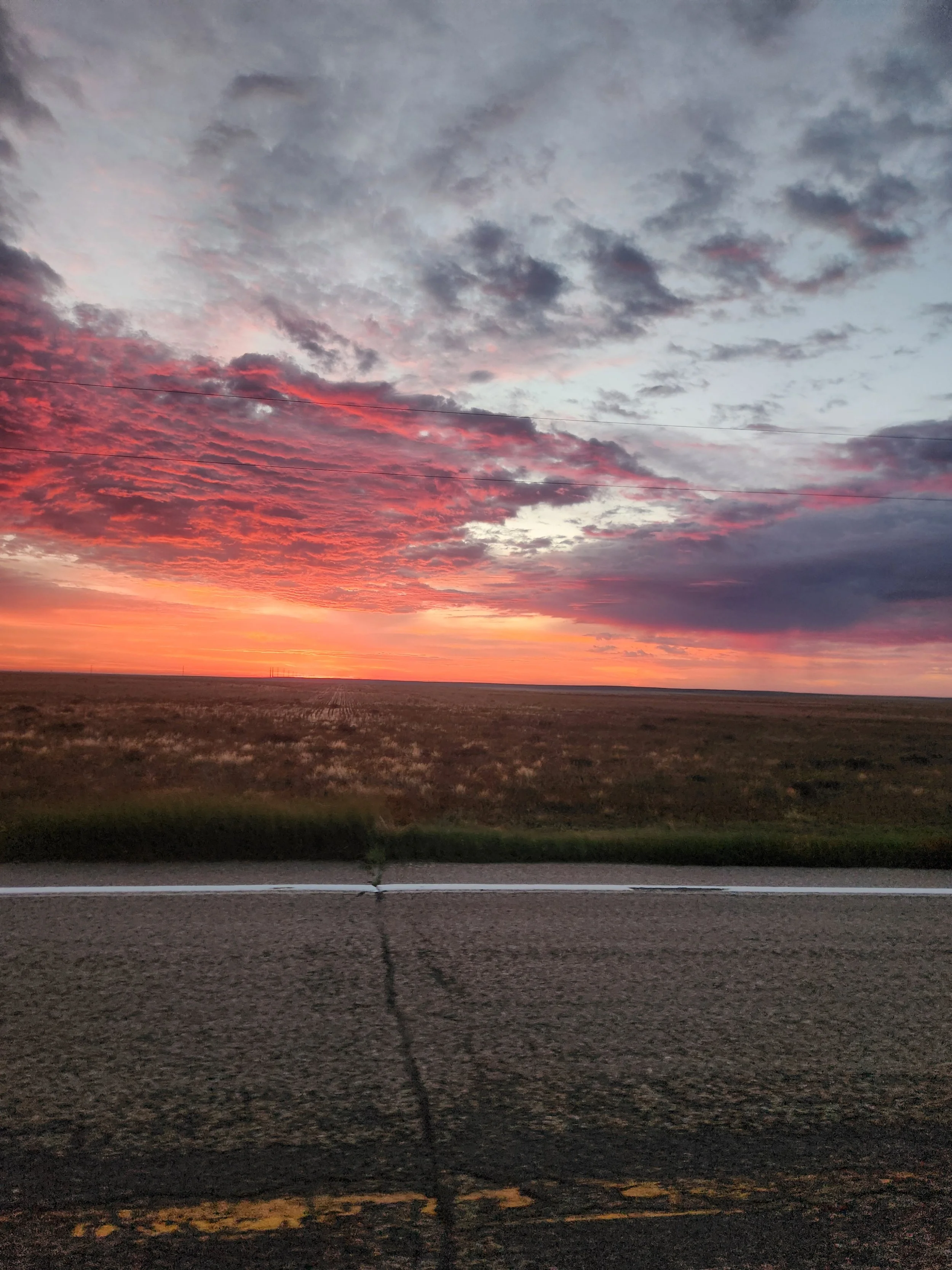 20250920_063102.jpg