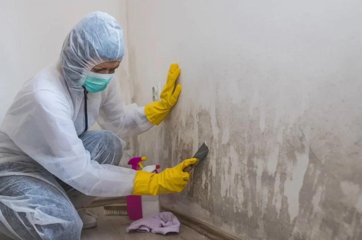 A person wearing a white protective suit, yellow gloves, a face mask, and a hair cap is cleaning a wall with a putty knife. There is cleaning spray and a cloth on the floor nearby.