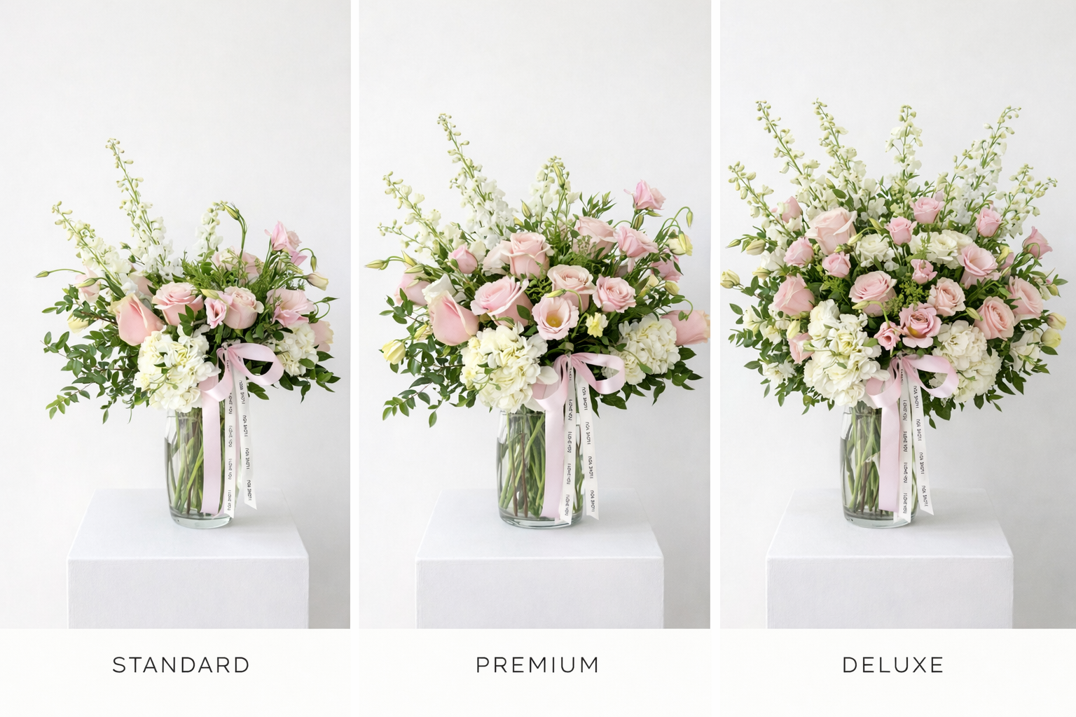 Sweet Serenity Sizes.png