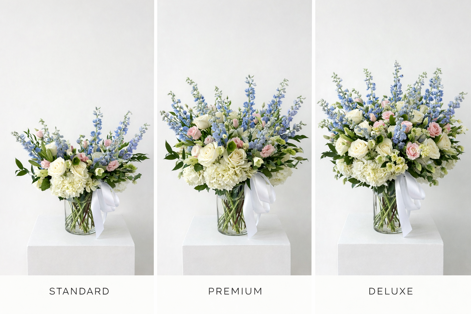 Blush & Breeze Sizes.png