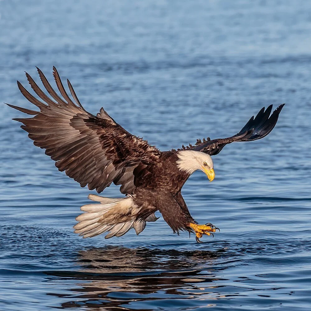 Environmental Safeguards Are Under Attack