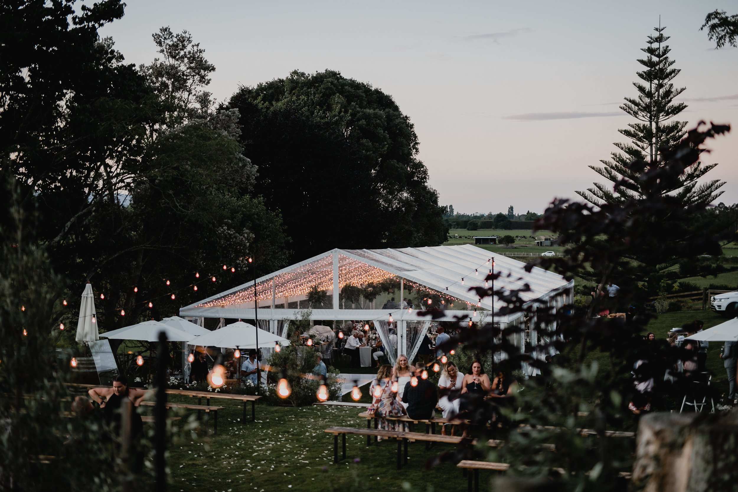 Your Wedding (1181).jpg