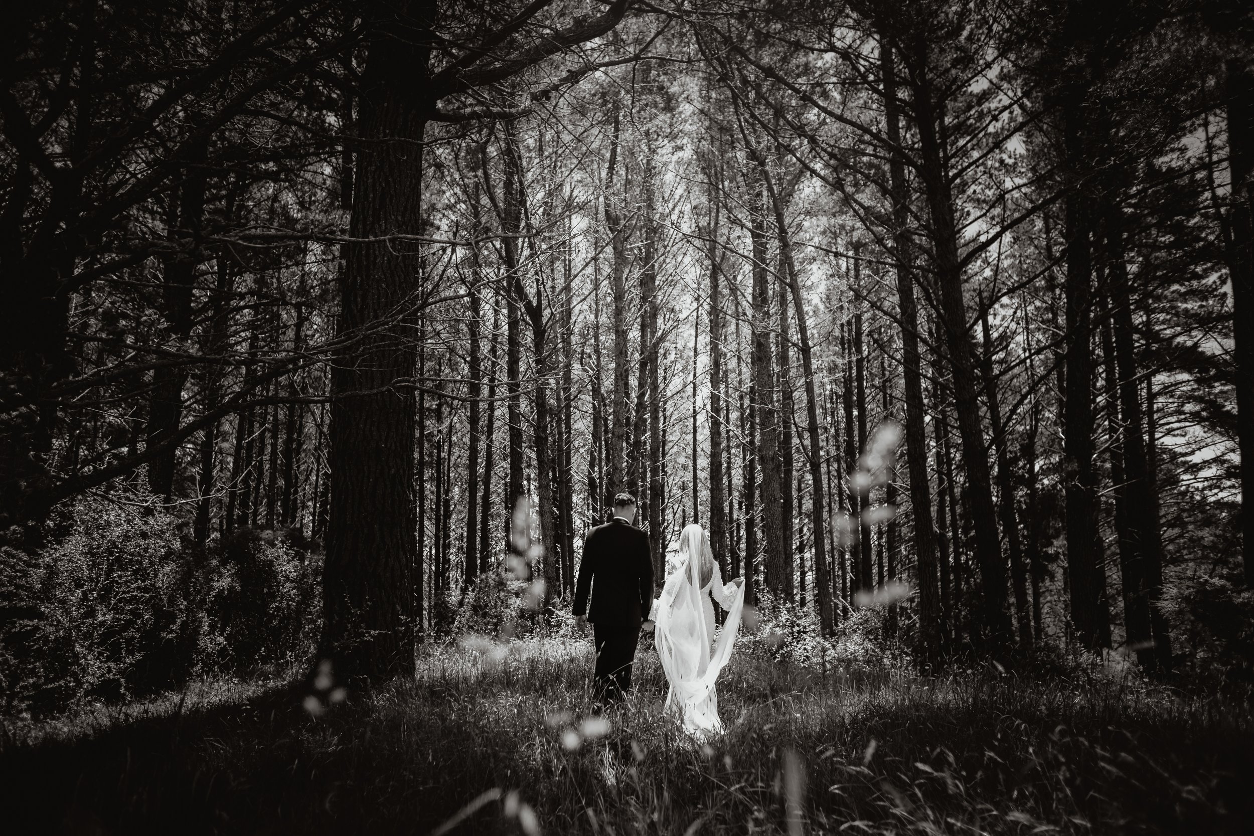 Liz & Pt Wedding Meadow Hill