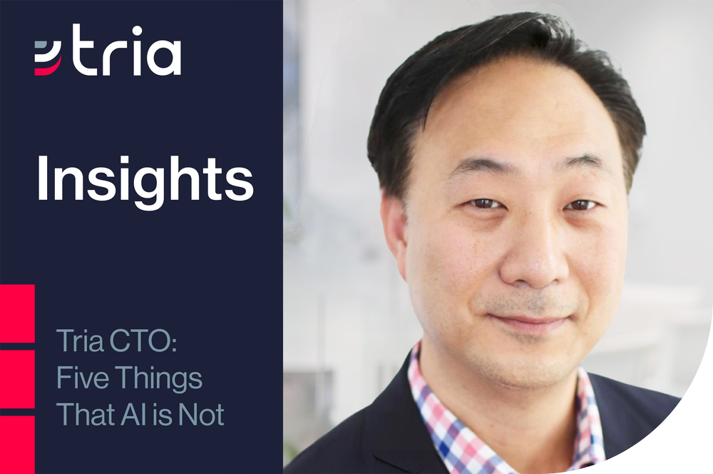 Insights-+Tria+CTO+Five+Things+that+AI+is+Not_2.png