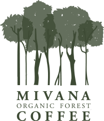 Mivana logo.png