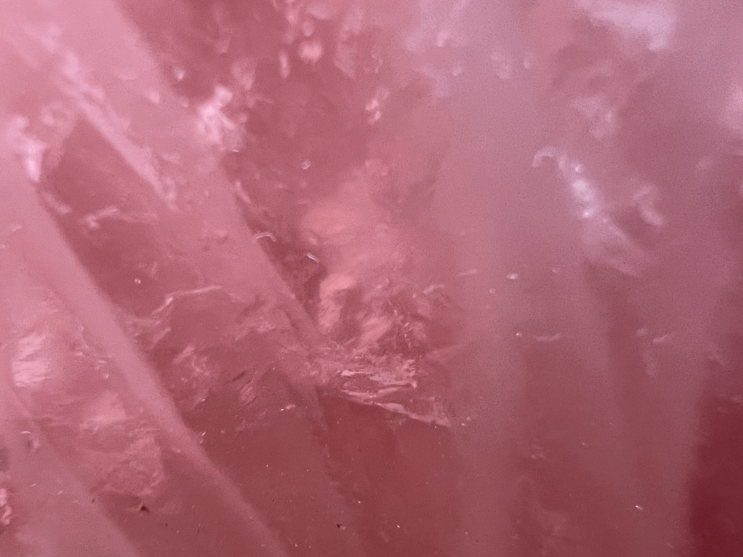 Soul of the Earth : Day Two