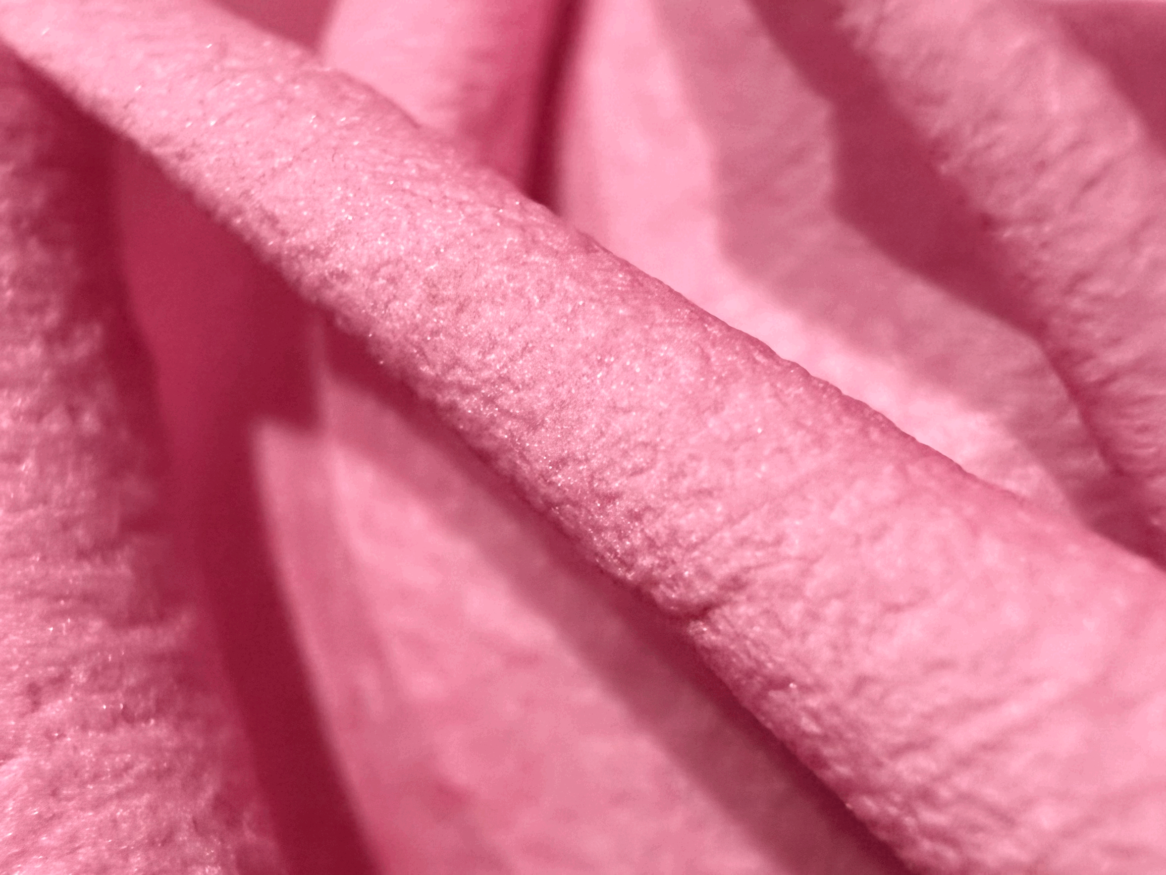 Soul of the Earth : Day Four