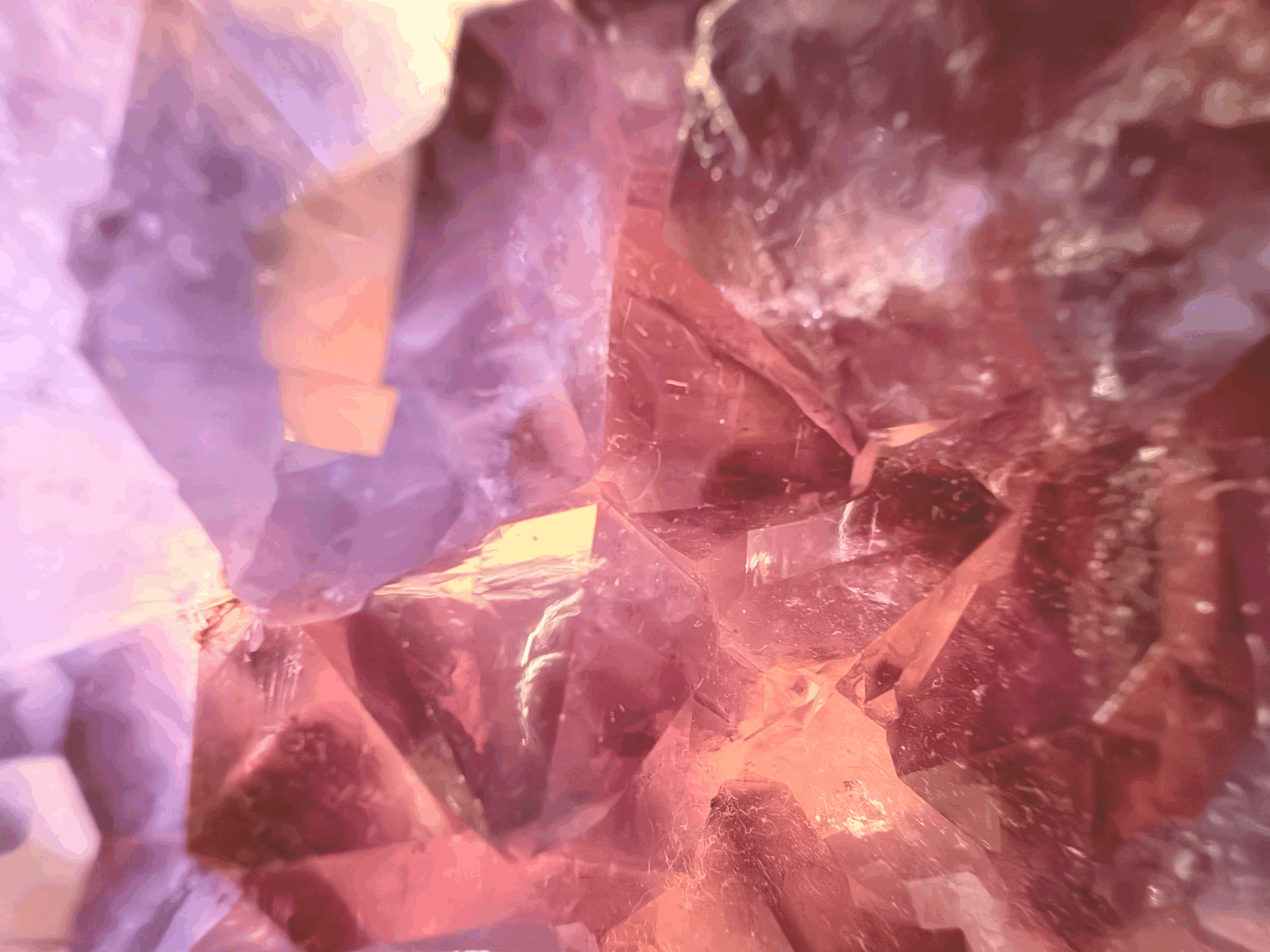 Soul of the Earth : Day Six