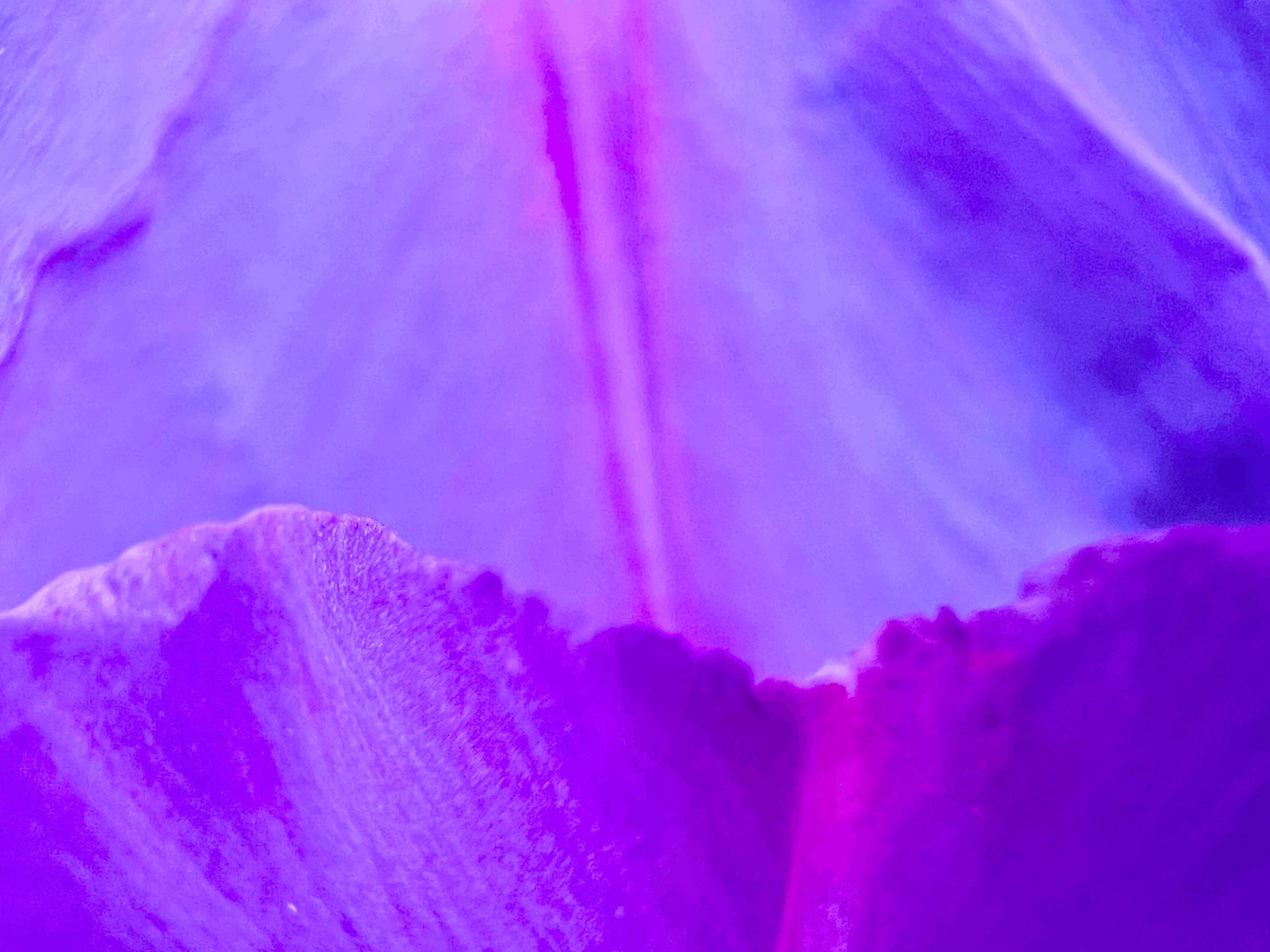 Soul of the Earth : Day Nine