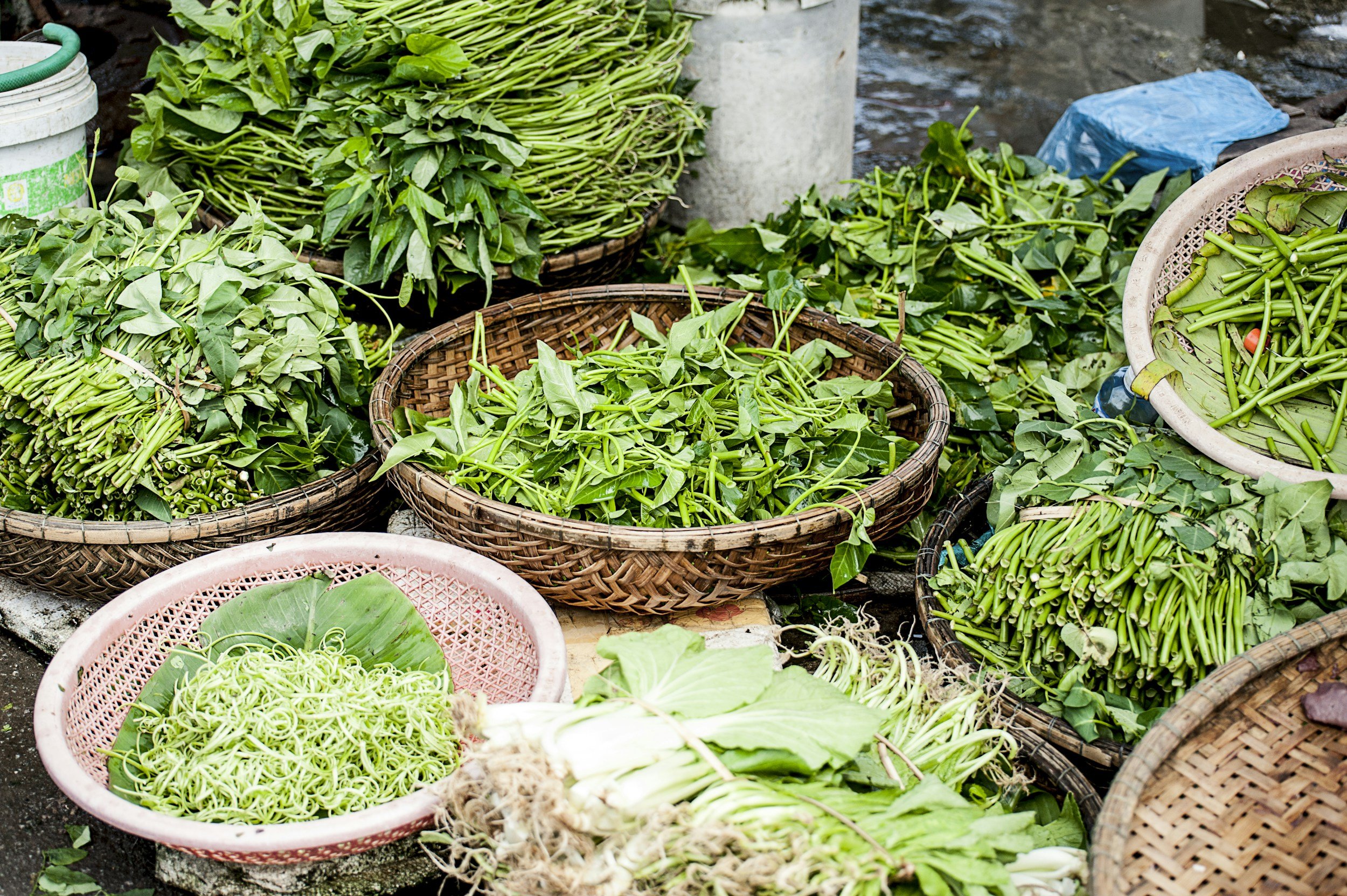 Garden Talk - Spring Vegetable & Herb Gardening 