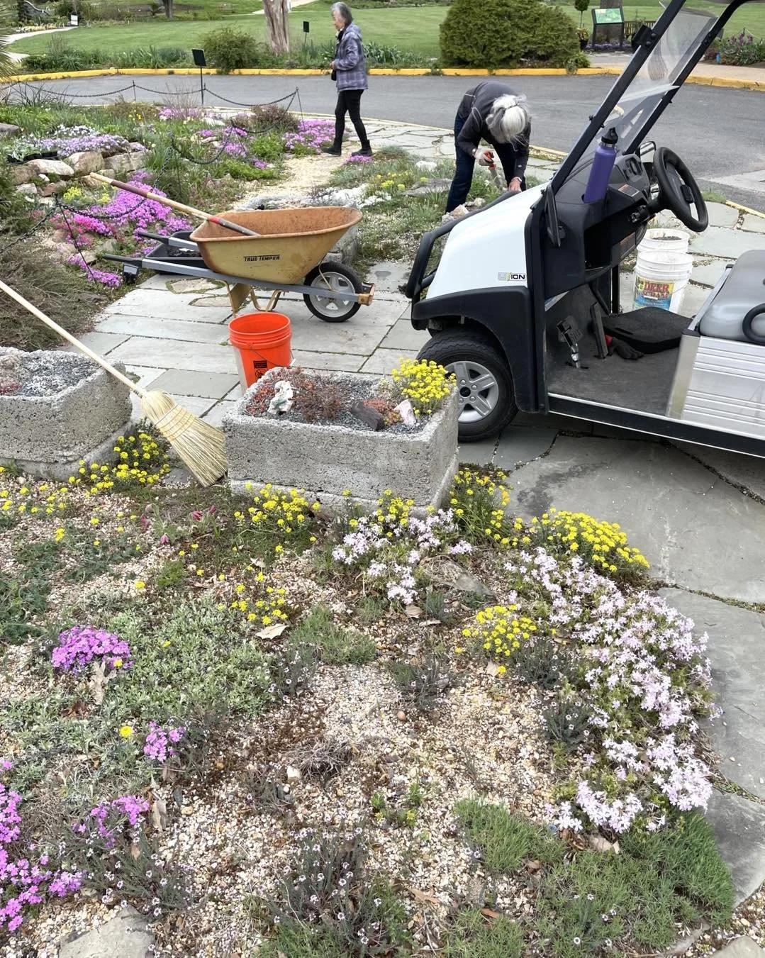 Garden Talk - Rock Gardening 