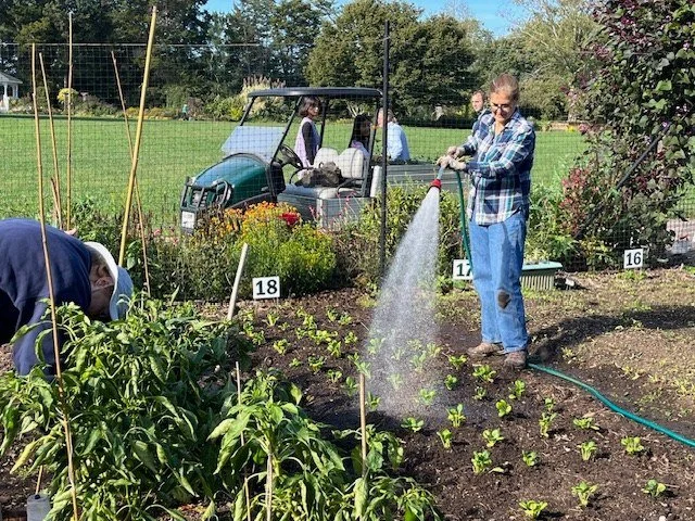 Garden Talk - Spring Vegetable Gardening 101