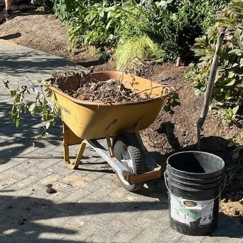 Garden Talk - Don't Skip Fall Maintenance