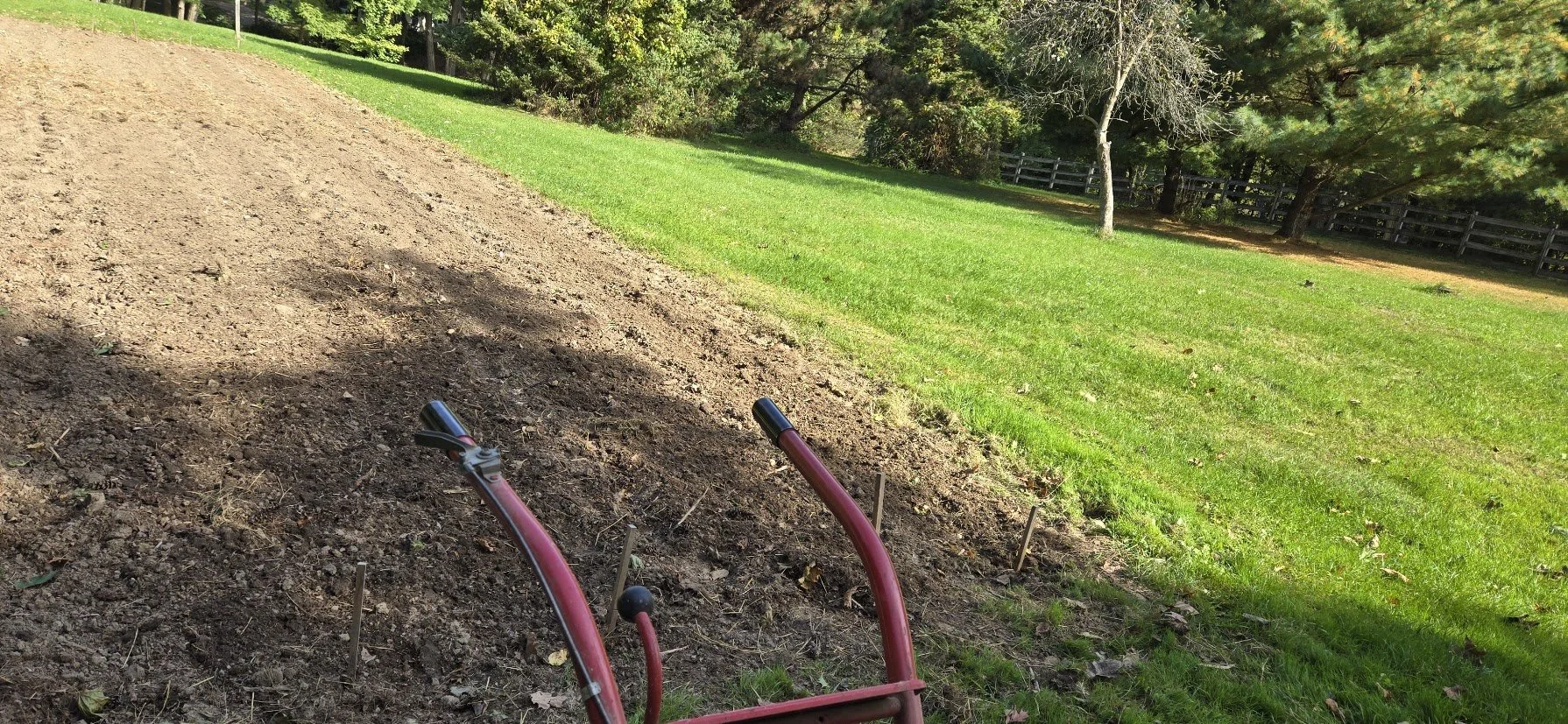 Prepping for garlic planting.