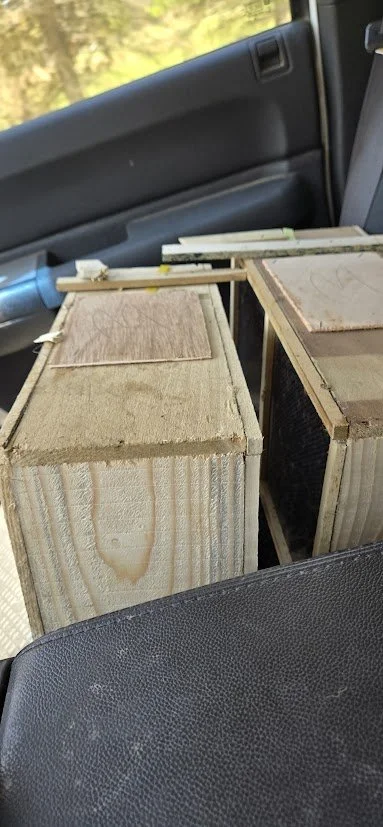 Nothing like the hum of bees to signal its spring time.