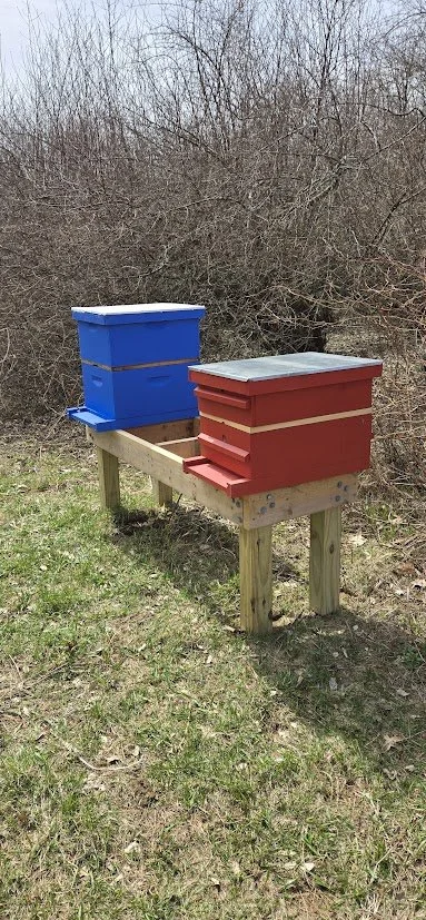 Two of our 4 beehives. All our products are pollinated by our bees.