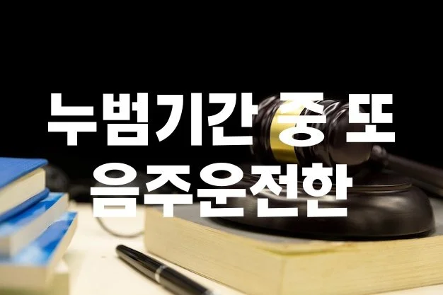 누범기간 중 또 음주운전한 50대, 항소심도 징역 1년 유지