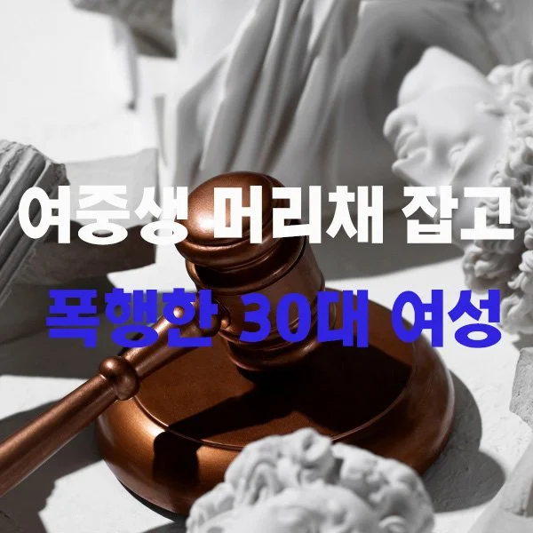 처음 본 여중생 머리채 잡고 폭행한 30대 여성 경찰에 검거&nbsp;&nbsp;